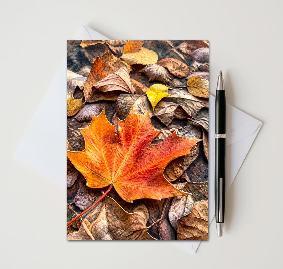 Fall Maple Leaf Note Cards Set of 8, Autumn Foliage Blank 5X7 Greeting Cards, Scenic Woodland Nature Stationery, Thanksgiving Gift Pack