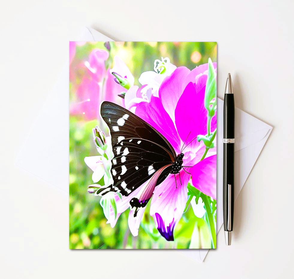 Butterfly On Pink Flower Note Cards | Handmade Nature Stationery Set