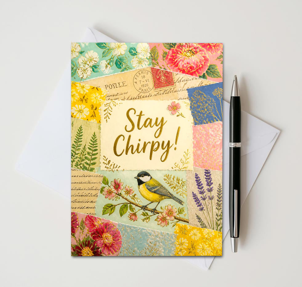 Vintage Chirpy Bird Note Cards, Set of 10 Handmade 5x7 Encouragement Greeting Cards