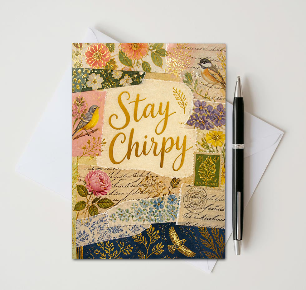 Vintage Chirpy Bird Note Cards, Set of 10 Handmade 5x7 Encouragement Greeting Cards