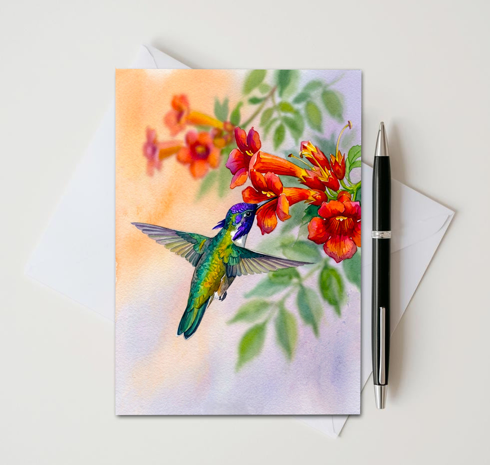 Watercolor Hummingbird Note Cards, Set of 6 Handmade 5x7 Floral Bird Greeting Cards