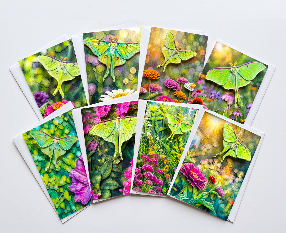 Luna moth note card set with botanical wildflower artwork
