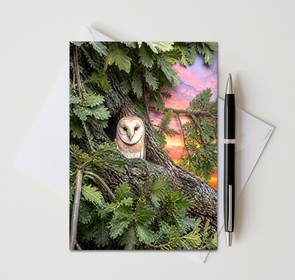 Barn Owl Note Cards Set of 8, Woodland Wildlife Blank 5X7 Greeting Cards, Majestic Bird Stationery, Nature Lover Gift  Pack
