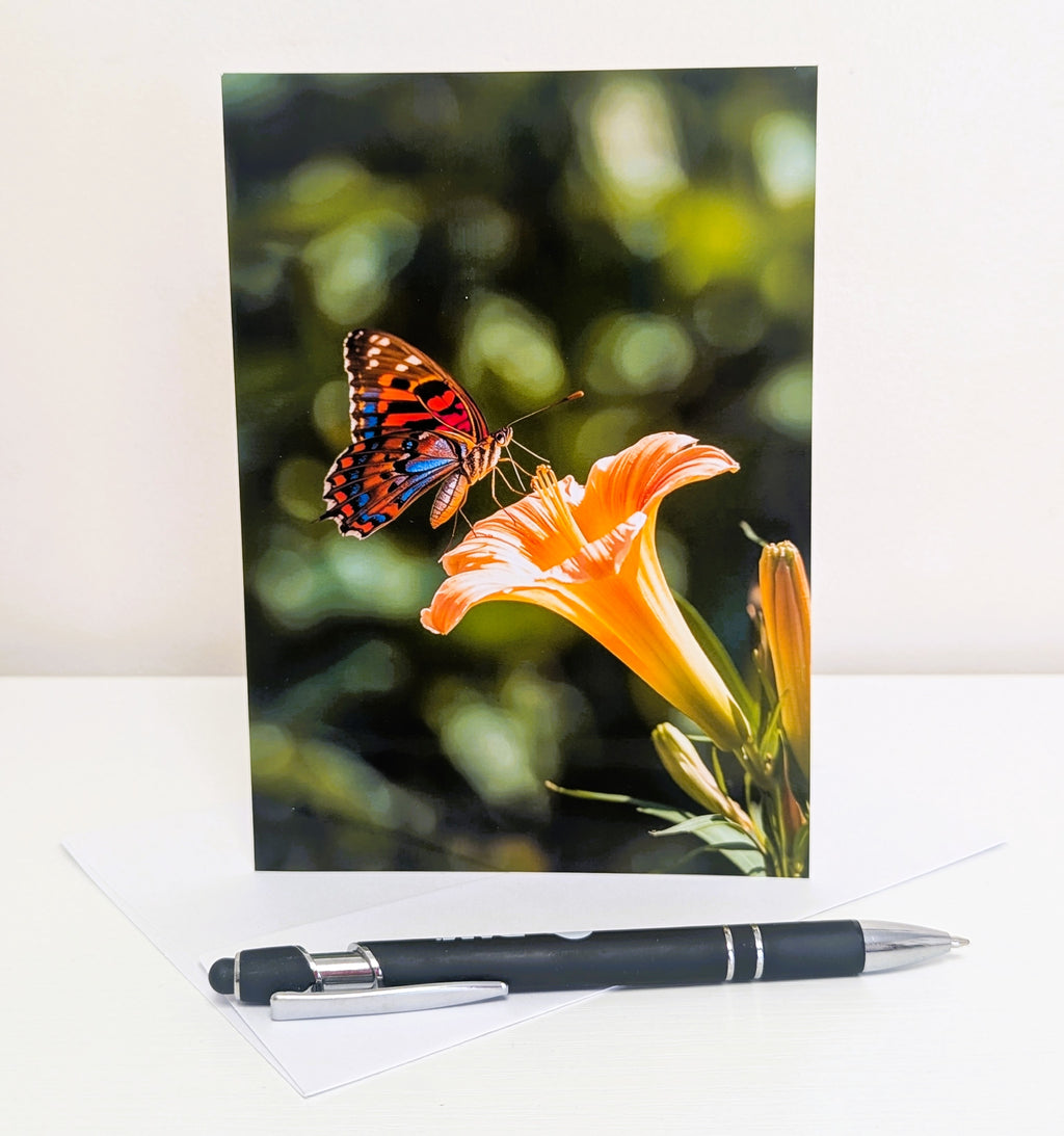 Butterfly Note Cards | Handmade Nature Stationery Set
