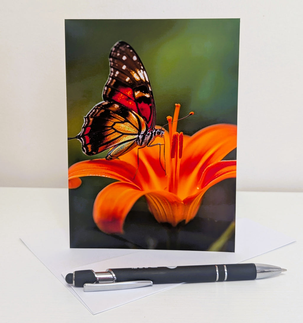 Butterfly Note Cards | Handmade Nature Stationery Set