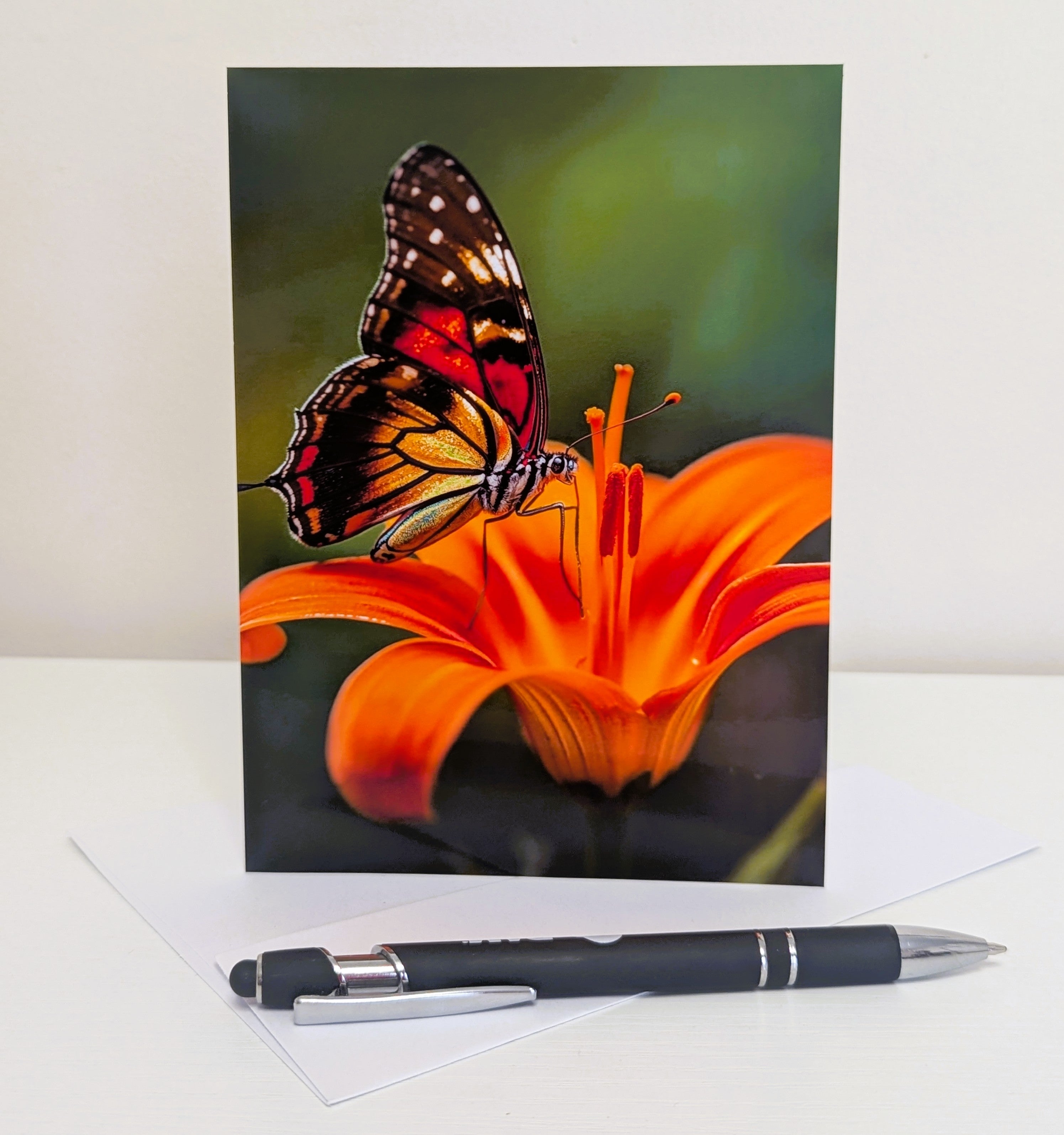 Butterfly Note Cards | Handmade Nature Stationery Set