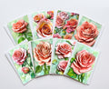 Peach Rose Note Cards Set of 8, Vintage Floral Blank 5X7 Greeting Cards, Botanical Garden Stationery, Romantic Flower Lover Gift Pack