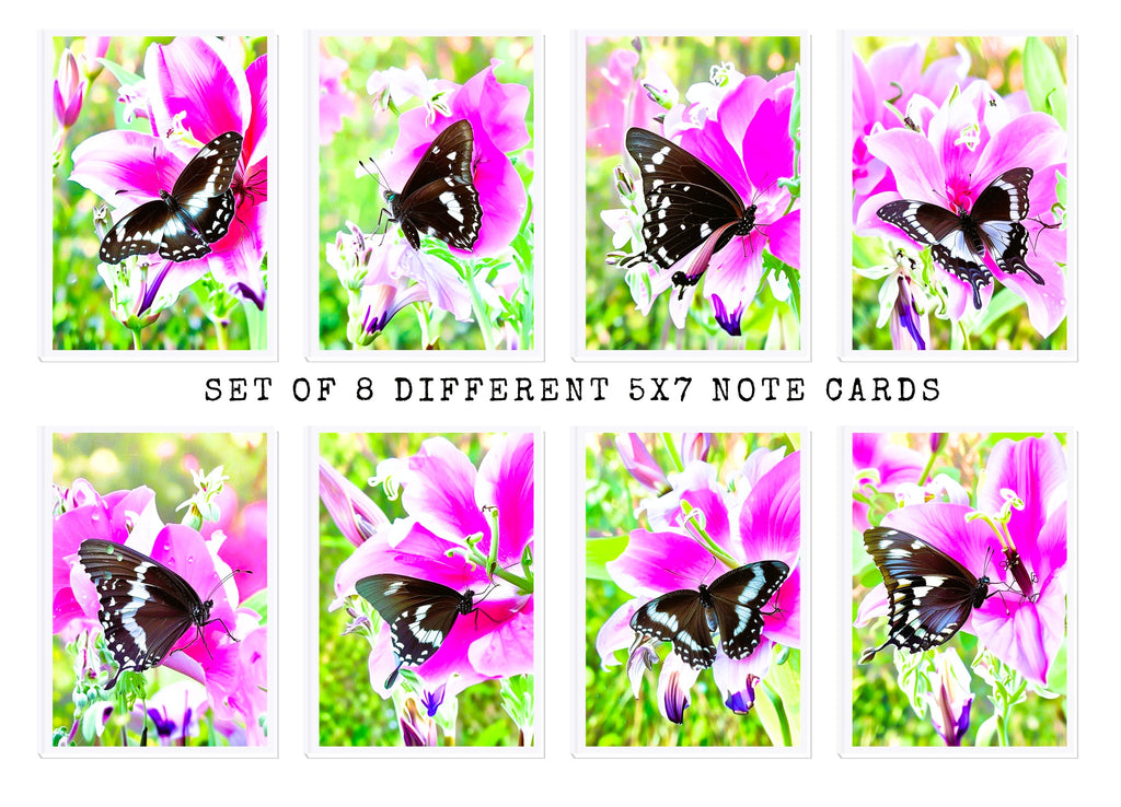 Butterfly On Pink Flower Note Cards | Handmade Nature Stationery Set