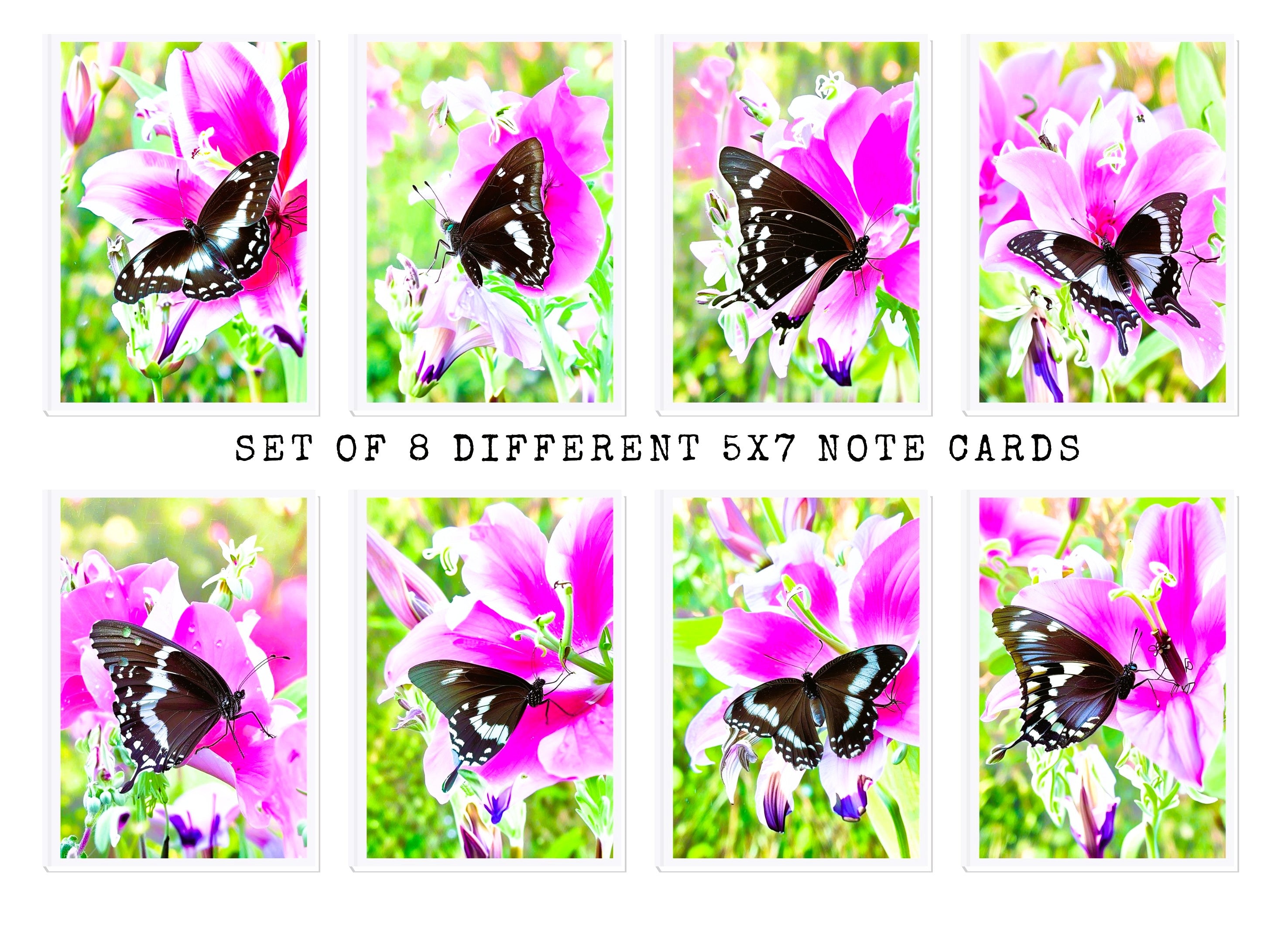 Butterfly On Pink Flower Note Cards | Handmade Nature Stationery Set