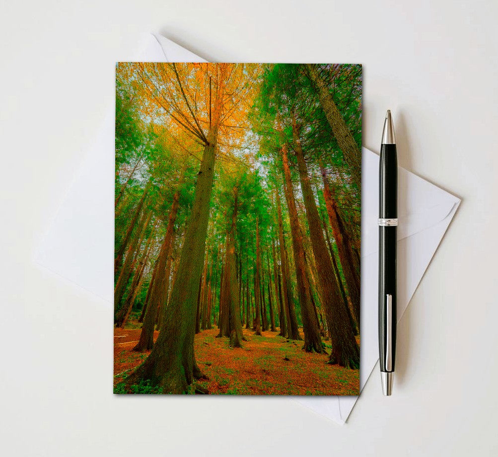 Green Forest Note Cards | Handmade Nature Stationery Set