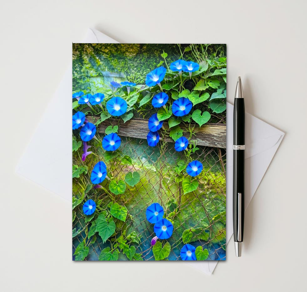 Morning Glory Note Cards Set of 8, Blue Floral Vine Blank 5x7 Greeting Cards, Garden Botanical Stationery, Nature Flower Lover Gift Pack