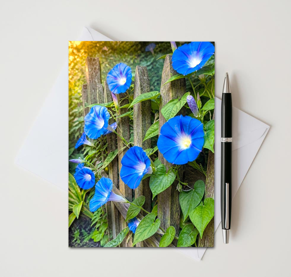 Morning Glory Note Cards Set of 8, Blue Floral Vine Blank 5x7 Greeting Cards, Garden Botanical Stationery, Nature Flower Lover Gift Pack