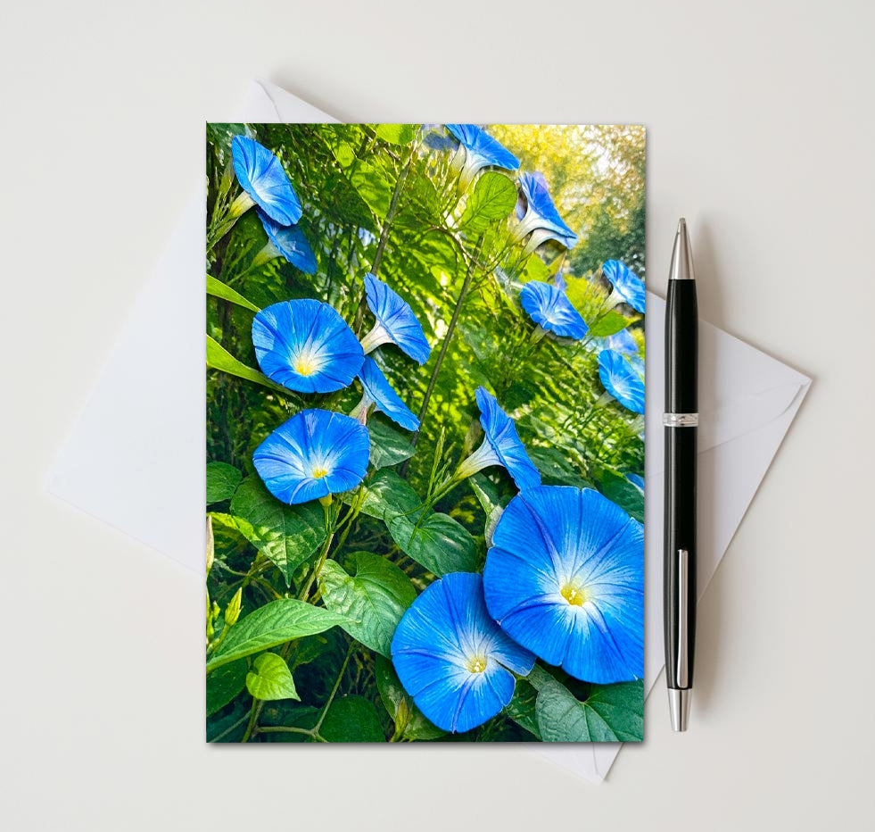 Morning Glory Note Cards Set of 8, Blue Floral Vine Blank 5x7 Greeting Cards, Garden Botanical Stationery, Nature Flower Lover Gift Pack