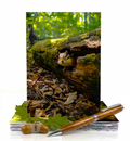 Squirrel Note Cards | Handmade Nature Stationery Set