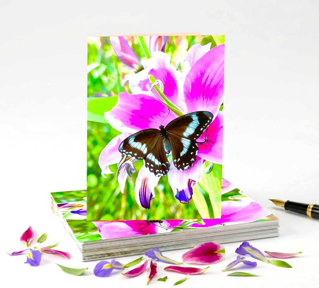 Butterfly On Pink Flower Note Cards | Handmade Nature Stationery Set