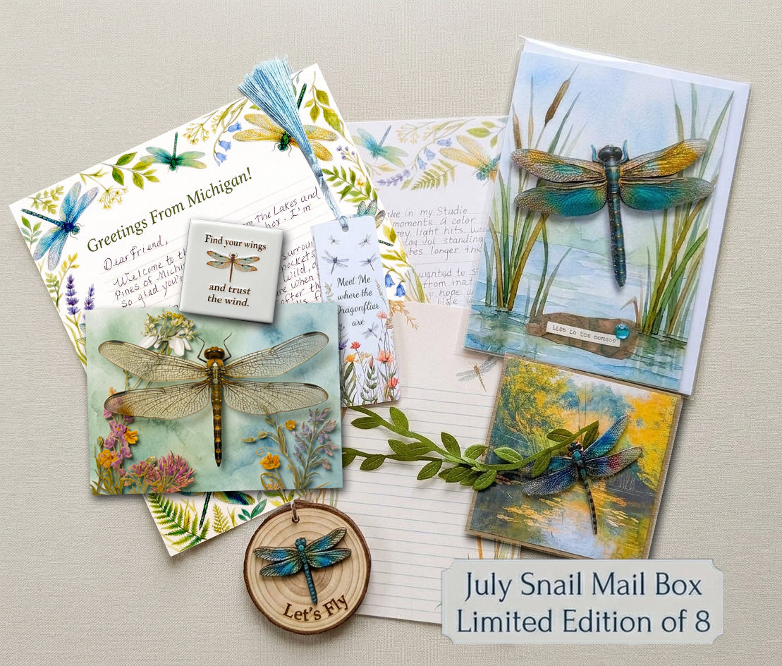 July Snail Mail Club Box | Handwritten Letter, Dragonfly Stationery & Handmade Art Bundle | Only 8