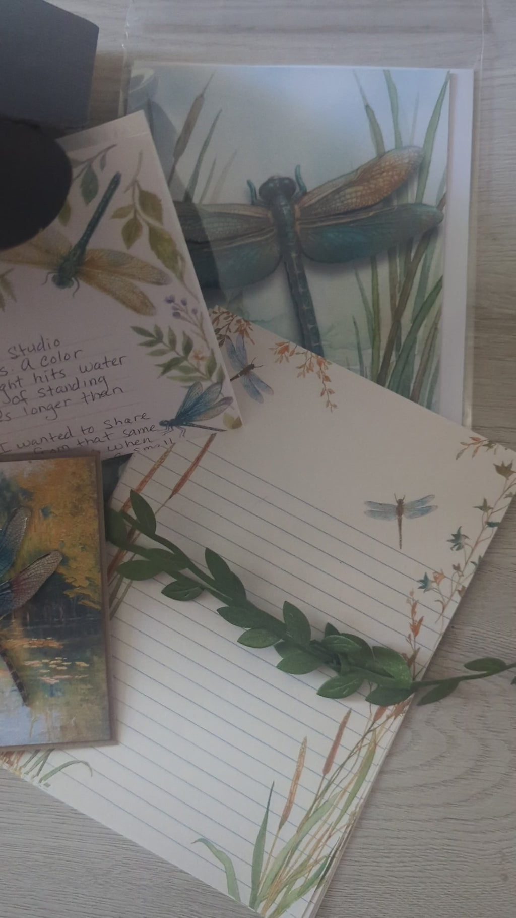 July Snail Mail Club Box | Handwritten Letter, Dragonfly Stationery & Handmade Art Bundle | Only 8