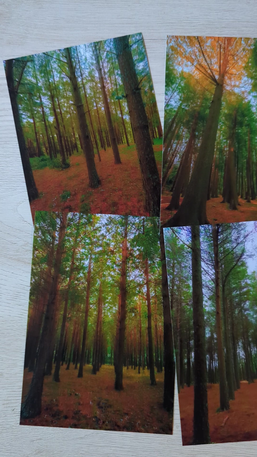 Green Forest Note Cards | Handmade Nature Stationery Set